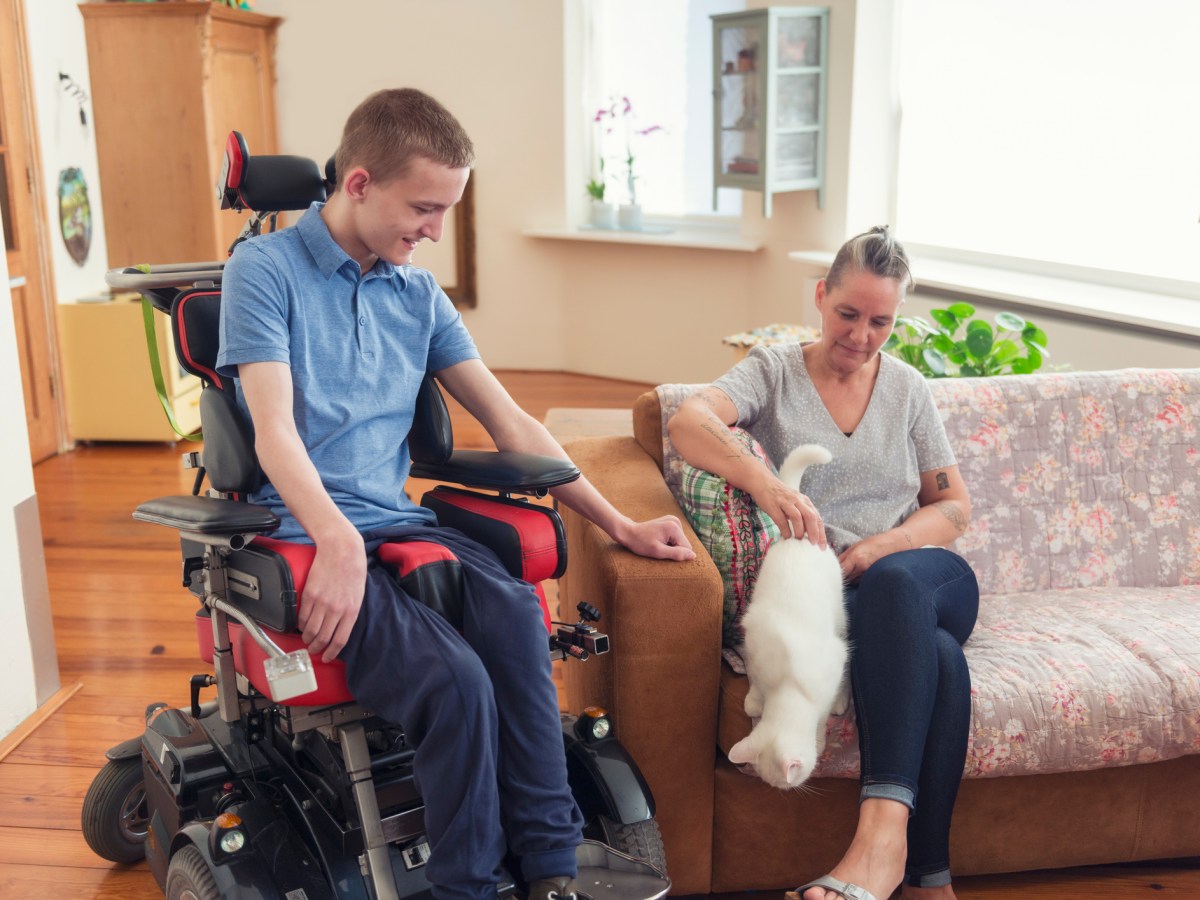 A man in a wheelchair sits next to a lady on a sofa with a white cat that is jumping off the sofa.