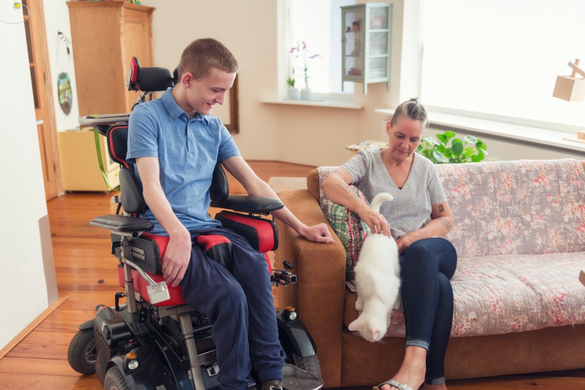 A man in a wheelchair sits next to a lady on a sofa with a white cat that is jumping off the sofa.