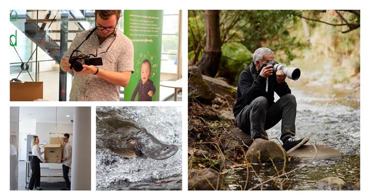 A collage of pictures, including a man holding a camera in front of a stairwell, another man kneeling and holding a telephoto camera on a river bed, a platypus, and a couple moving boxes.