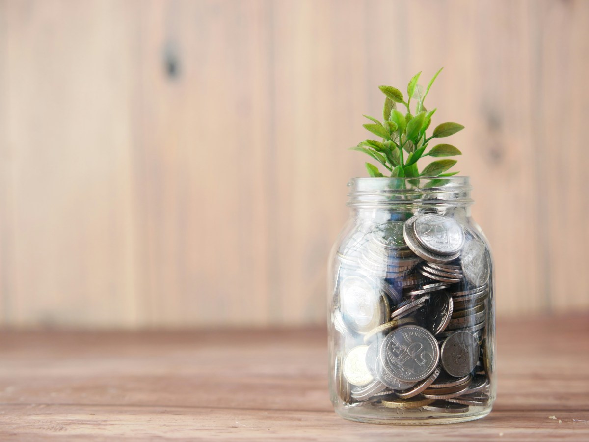 A jar full of coins with a small green plant coming out the top, on a wooden surface.