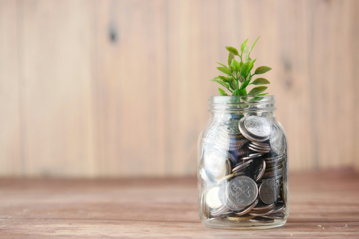 A jar full of coins with a small green plant coming out the top, on a wooden surface.