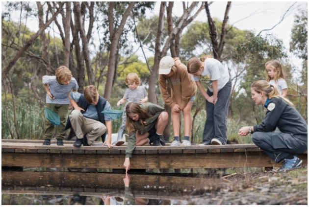 A group of children on a timber boardwalk, surrounded by trees, apparently looking at small animals.