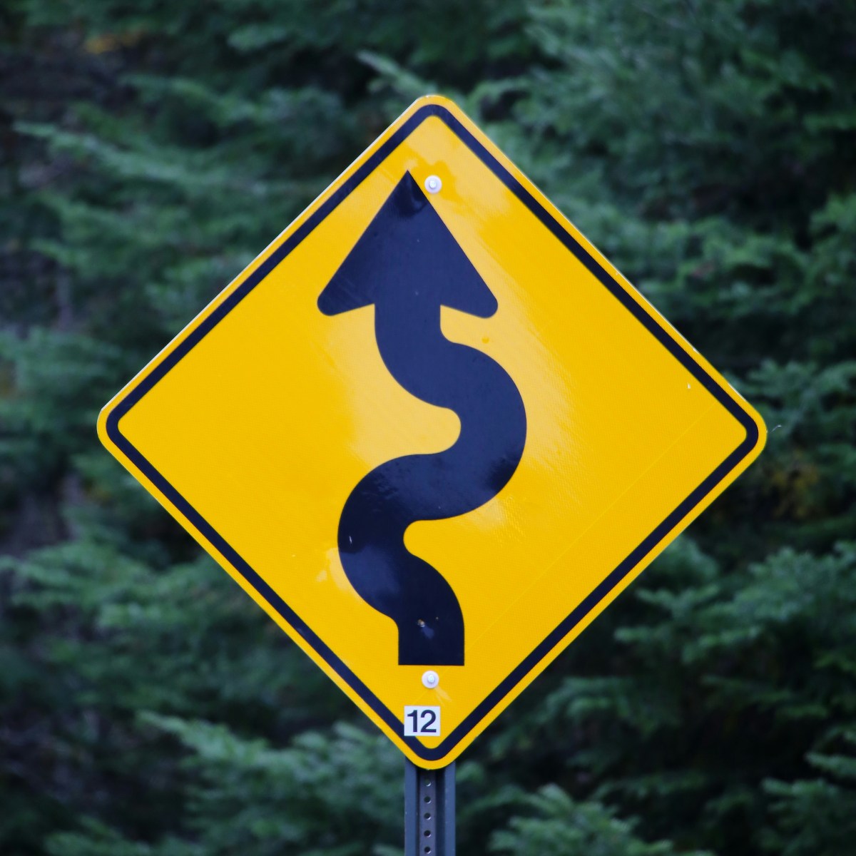 A yellow sign with a squiggly road arrow drawn on it.