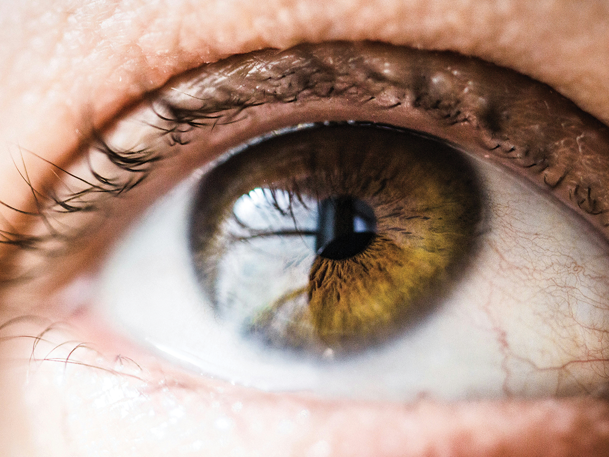 A brown eye in close up.