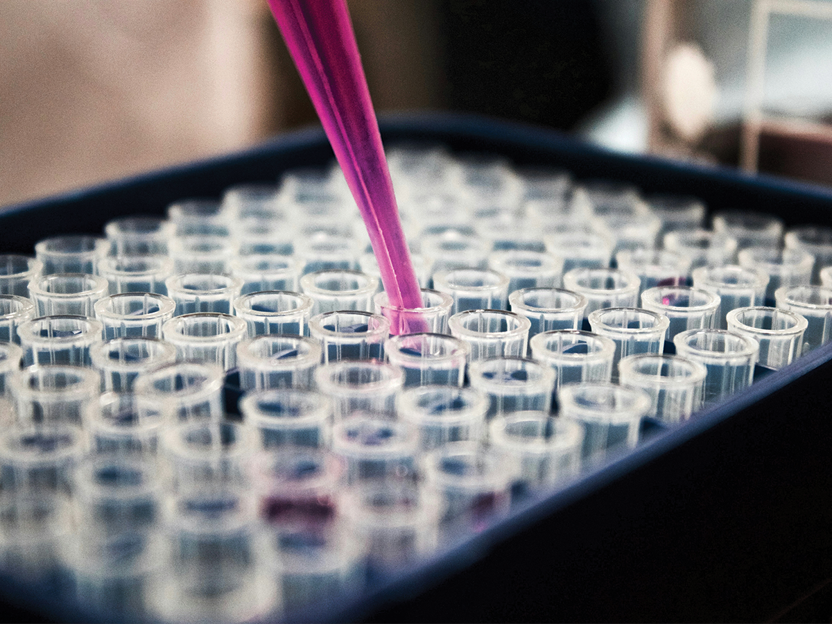 A pink pipette being dipped into rows of test tubes held in a tray.