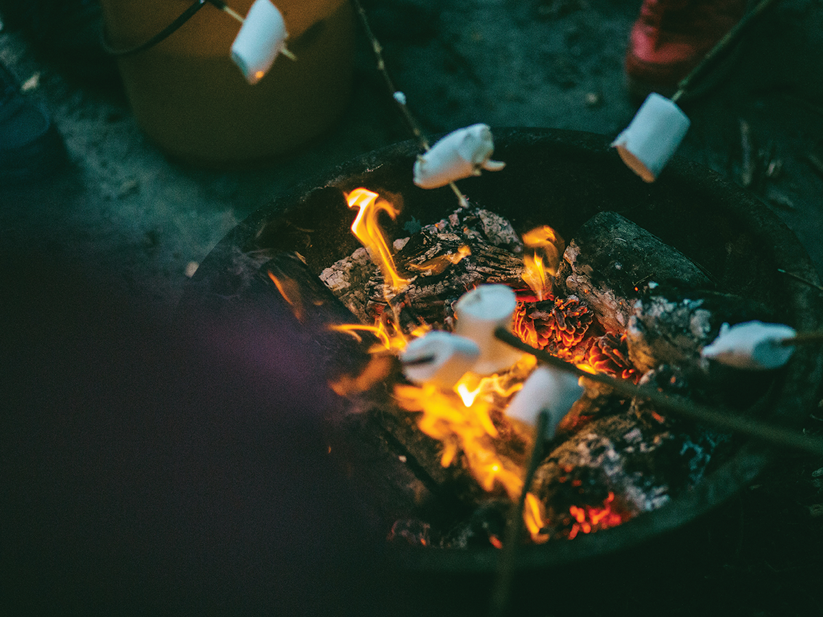 A bright campfire with roasting marchmallows in it.